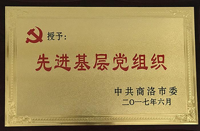 授予：先進基層黨組織