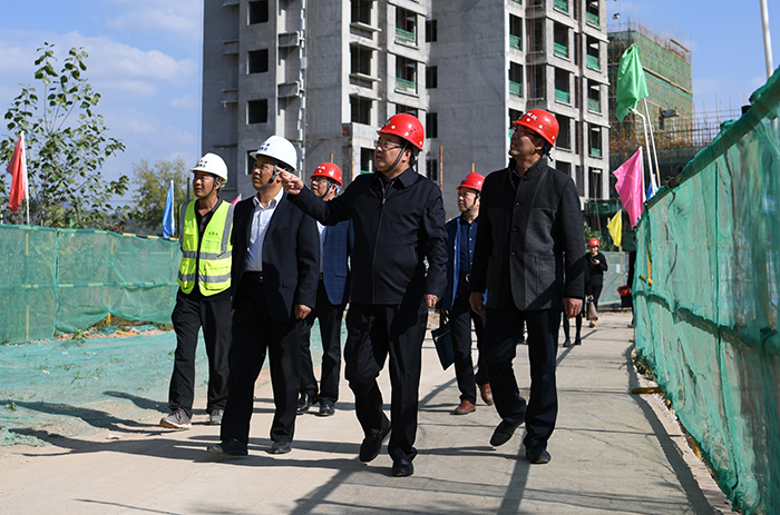 曹寶良董事長丹鶴綠洲項目檢查指導工作