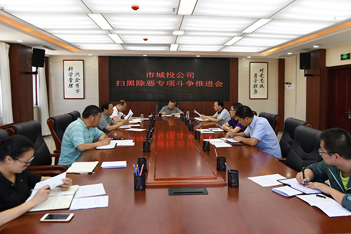市城投公司召開掃黑除惡專項(xiàng)斗爭推進(jìn)會