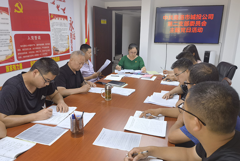 公司第二黨支部舉行學(xué)習(xí)習(xí)近平總書記在慶祝中國(guó)共產(chǎn)黨成立100周年大會(huì)上的重要講話精神心得交流會(huì)