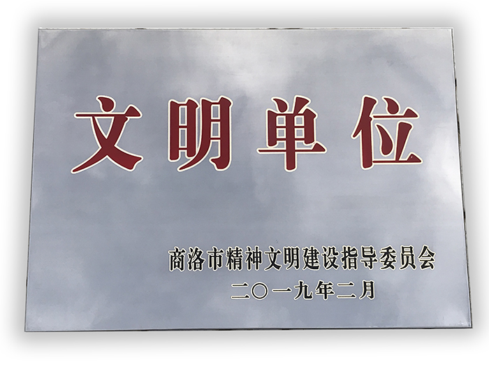 市城投公司榮獲縣級(jí)文明單位稱(chēng)號(hào)