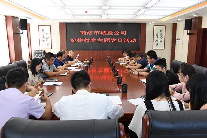 市城投公司開展&ldquo;明紀(jì)律、知敬畏、存戒懼、守底線、做表率&rdquo;紀(jì)律教育學(xué)習(xí)活動(dòng)