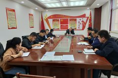 公司第二支部開展&ldquo;戴黨徽、亮身份、亮標(biāo)準(zhǔn)、亮承諾、展先鋒&rdquo;主題黨日活動(dòng)