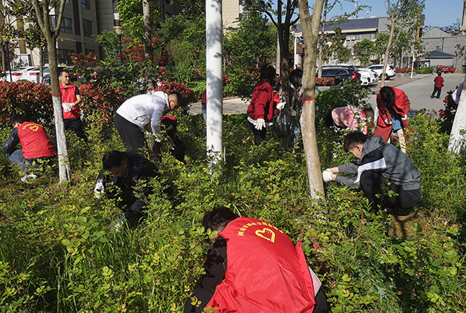 公司第一黨支部開(kāi)展&ldquo;秦嶺最美是商洛&middot;生態(tài)衛(wèi)士我先行&rdquo; 主題黨日暨志愿者服務(wù)活動(dòng)