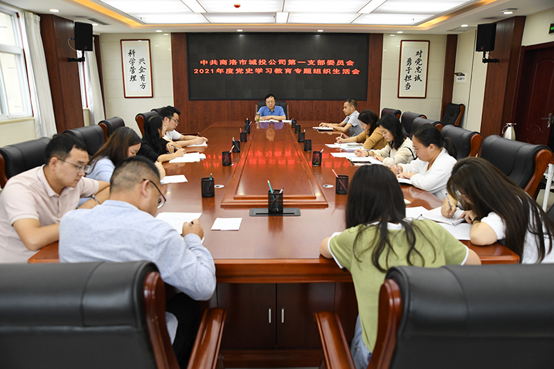 公司第一黨支部召開2021年黨史學習教育專題組織生活會
